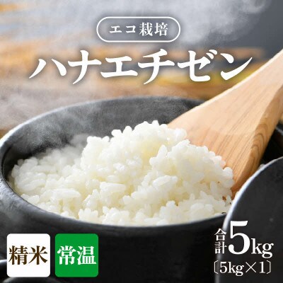 【令和8年産】【一等米】 エコ栽培ハナエチゼン　精米5kg