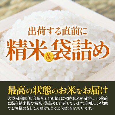 【令和8年産】【一等米】 エコ栽培ハナエチゼン　精米5kg
