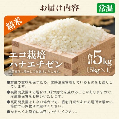 【令和8年産】【一等米】 エコ栽培ハナエチゼン　精米5kg
