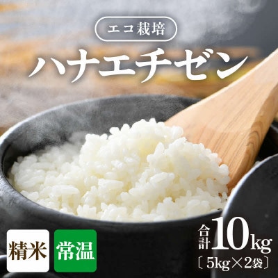 【令和8年産】【一等米】エコ栽培ハナエチゼン 精米10kg (5kg×2袋)