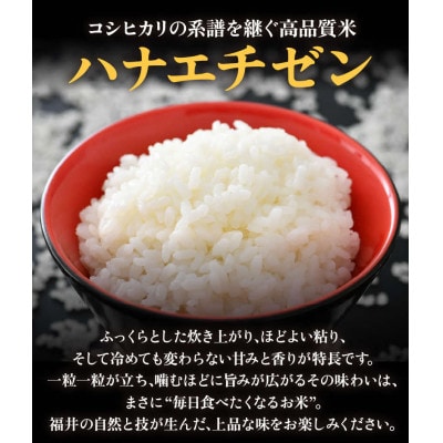 【令和8年産】【一等米】エコ栽培ハナエチゼン 精米10kg (5kg×2袋)