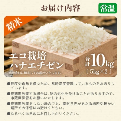 【令和8年産】【一等米】エコ栽培ハナエチゼン 精米10kg (5kg×2袋)