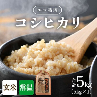 【令和8年産】【一等米】エコ栽培コシヒカリ　玄米5kg