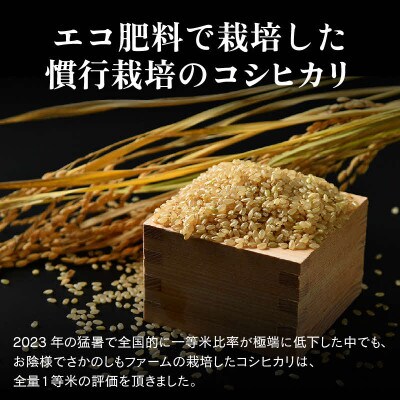 【令和8年産】【一等米】エコ栽培コシヒカリ　玄米5kg