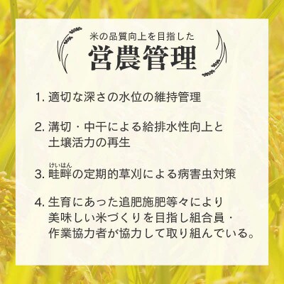 【令和8年産】【一等米】エコ栽培コシヒカリ　玄米5kg