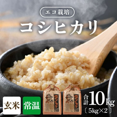 【令和8年産】 【一等米】エコ栽培コシヒカリ 玄米10kg (5kg×2袋)