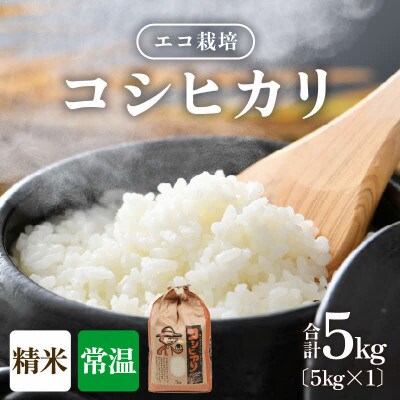 【令和8年産】【一等米】 エコ栽培コシヒカリ　精米5kg