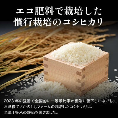 【令和8年産】【一等米】 エコ栽培コシヒカリ　精米5kg