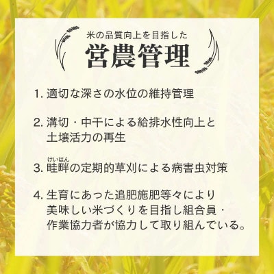 【令和8年産】【一等米】 エコ栽培コシヒカリ　精米5kg