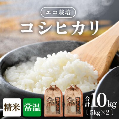 【令和8年産】 【一等米】エコ栽培コシヒカリ 精米10kg (5kg×2袋)