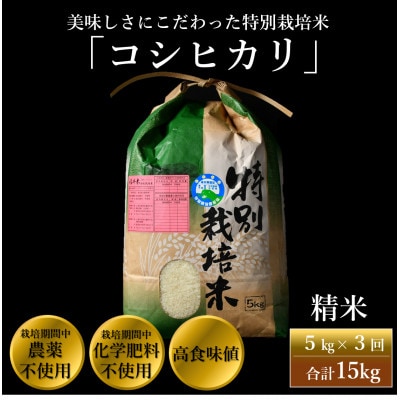 【発送月固定定期便】【先行予約】特別栽培米コシヒカリ精米5kg栽培期間中農薬・化学肥料不使用全3回