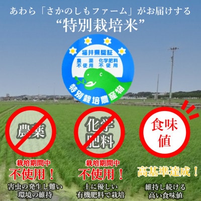 【発送月固定定期便】【先行予約】特別栽培米コシヒカリ精米5kg栽培期間中農薬・化学肥料不使用全3回