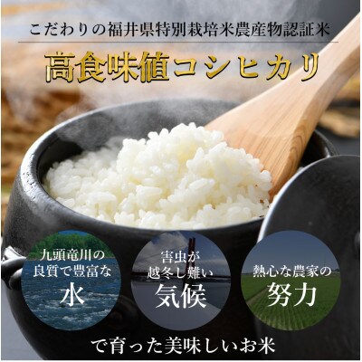 【発送月固定定期便】【先行予約】特別栽培米コシヒカリ精米5kg栽培期間中農薬・化学肥料不使用全3回