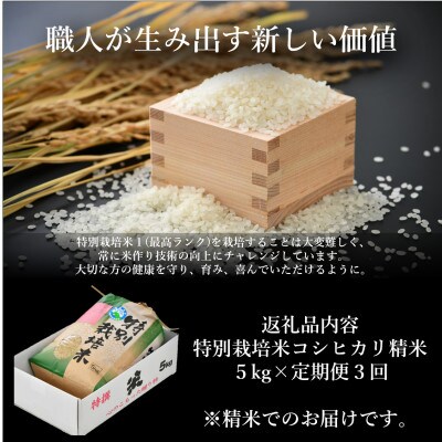 【発送月固定定期便】【先行予約】特別栽培米コシヒカリ精米5kg栽培期間中農薬・化学肥料不使用全3回