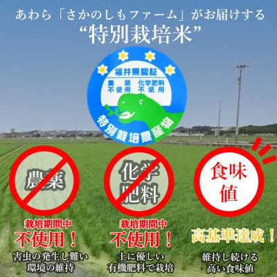 【毎月定期便】特別栽培米コシヒカリ精米5kg栽培期間中農薬・化学肥料不使用全3回