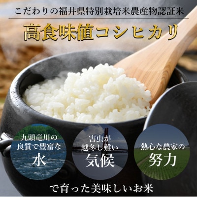 【毎月定期便】特別栽培米コシヒカリ精米5kg栽培期間中農薬・化学肥料不使用全3回