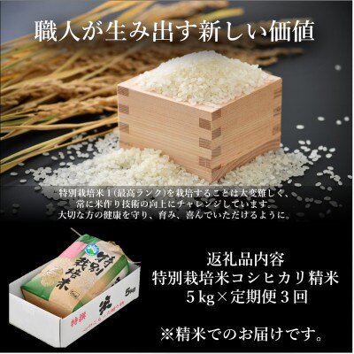 【毎月定期便】特別栽培米コシヒカリ精米5kg栽培期間中農薬・化学肥料不使用全3回