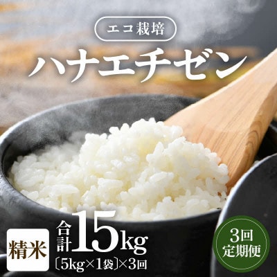 【毎月定期便】一等米 エコ栽培ハナエチゼン精米5kg全3回