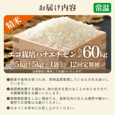 【毎月定期便】【一等米】エコ栽培ハナエチゼン精米5kg全12回