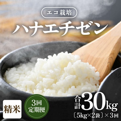 【毎月定期便】【一等米】エコ栽培ハナエチゼン精米10kg(5kg×2袋)全3回