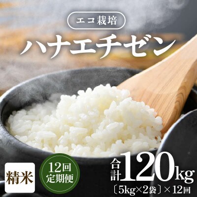 【毎月定期便】【一等米】エコ栽培ハナエチゼン精米10kg(5kg×2袋)全12回