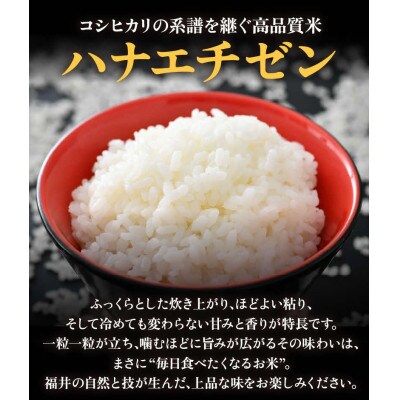 【毎月定期便】【一等米】エコ栽培ハナエチゼン精米10kg(5kg×2袋)全12回