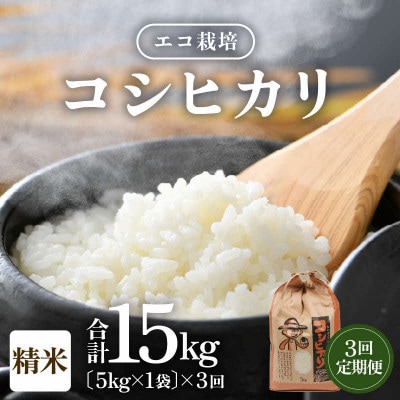 【毎月定期便】【一等米】 エコ栽培コシヒカリ　精米5kg全3回