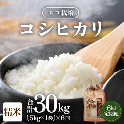【毎月定期便】【一等米】 エコ栽培コシヒカリ　精米5kg全6回