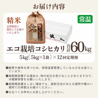 【毎月定期便】【一等米】 エコ栽培コシヒカリ　精米5kg全12回