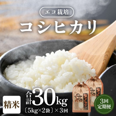 【毎月定期便】【一等米】 エコ栽培コシヒカリ精米10kg(5kg×2袋)全3回