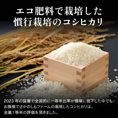 【毎月定期便】【一等米】 エコ栽培コシヒカリ精米10kg(5kg×2袋)全3回