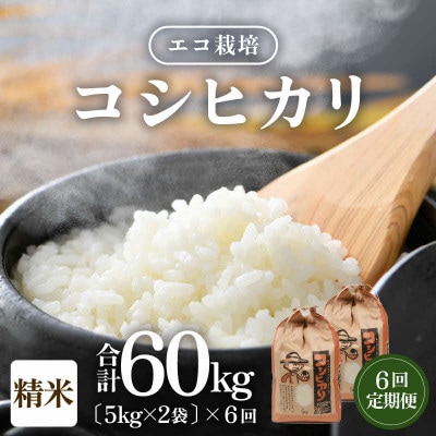 【毎月定期便】【一等米】 エコ栽培コシヒカリ精米10kg(5kg×2袋)全6回