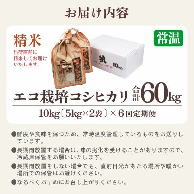 【毎月定期便】【一等米】 エコ栽培コシヒカリ精米10kg(5kg×2袋)全6回
