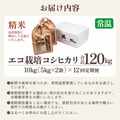 【毎月定期便】【一等米】 エコ栽培コシヒカリ精米10kg(5kg×2袋)全12回