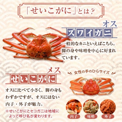 国産!寿司屋のせいこがに甲羅盛り5個(1個約80g前後)