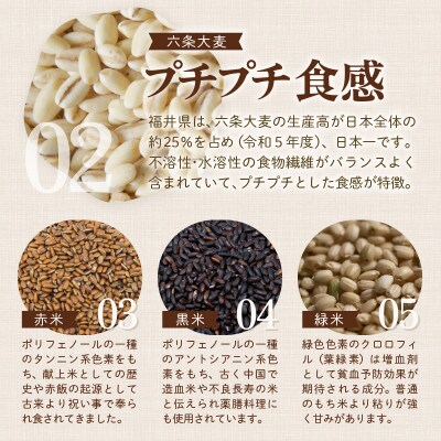 そのまま炊けるこだわり雑穀ごはん 【無洗米】2kg