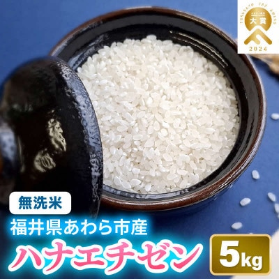 【令和8年産】華越前 無洗米 5kg/白米　単一原料米