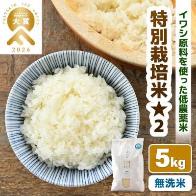 【令和8年産】 特別栽培米 コシヒカリ 無洗米 5kg 低農薬/白米
