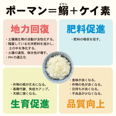 【令和8年産】 特別栽培米 コシヒカリ 無洗米 5kg 低農薬/白米