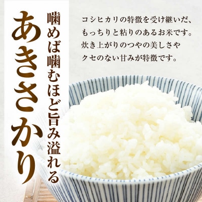 【令和8年産】あきさかり 無洗米 5kg/白米　単一原料米