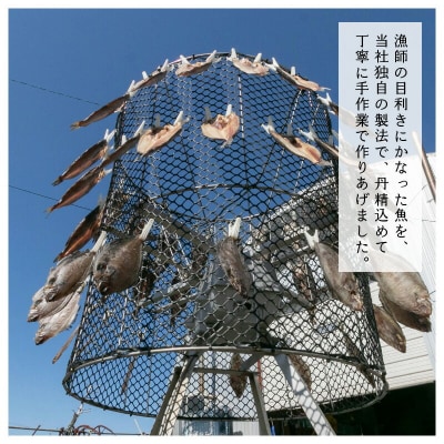 漁師おすすめ大漁セット_230601