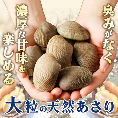 4月～6月発送分《先行受付・期間限定》浜中町産活あさり(500g×2袋)_H0023-029-02