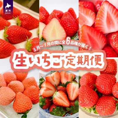 【来年1月より発送!】全6品種が届く!生いちご定期便(全6回)[13-1130]