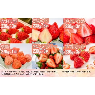 【来年1月より発送!】全6品種が届く!生いちご定期便(全6回)[13-1130]