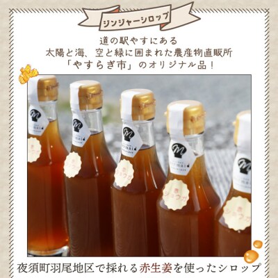 ジンジャーシロップ200ml×5本 yr-0048