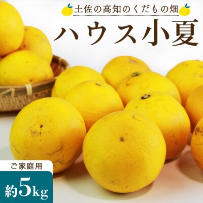 【先行受付】ハウス小夏(日向夏)約5kg(家庭用) 果物 土佐の高知のくだもの畑 kd-0009