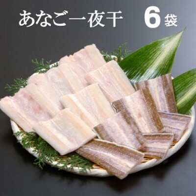 地物前浜獲りのあなご一夜干　6袋　O50