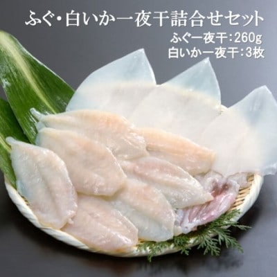 ふぐ・白いか一夜干詰合せ(ふぐ一夜干(5尾～11尾)・白いか一夜干 3枚)　US50