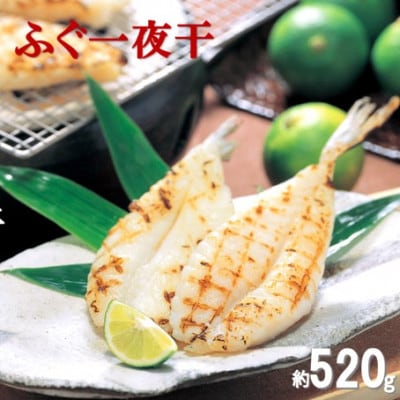 旨味を生かした「ふぐ一夜干」　約520g　U50