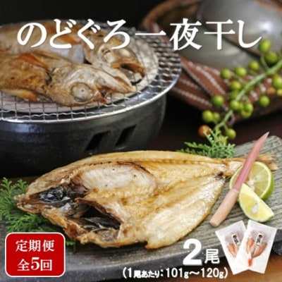 【毎月定期便】のどぐろ一夜干し 2尾(1尾あたり101～120g)全5回